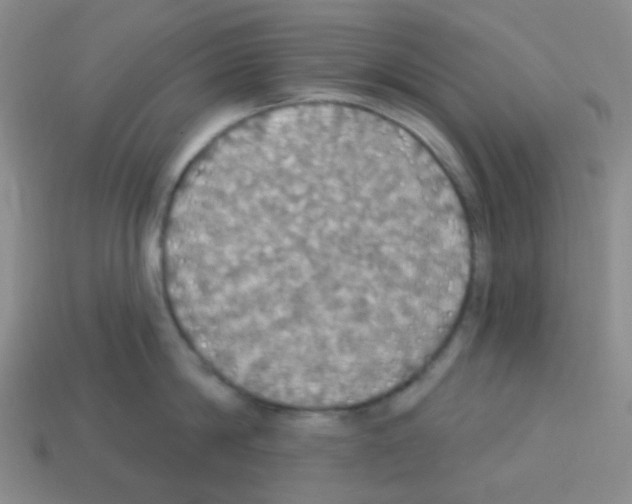 X0000113230814200910221038