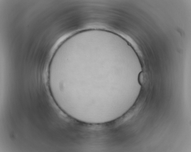 X0000113230815200910221038