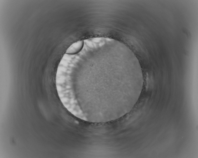 X0000113230817200910221037