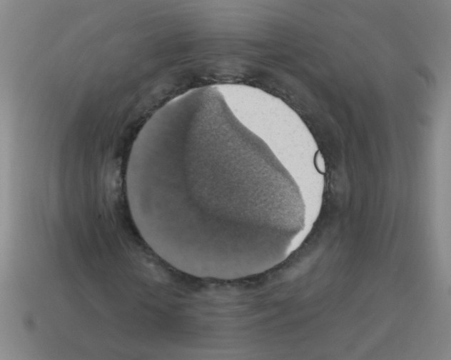 X0000113230818200910221037