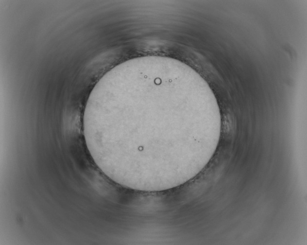 X0000113230820200910221037