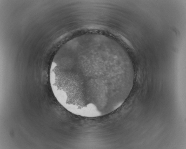 X0000113230821200910221037