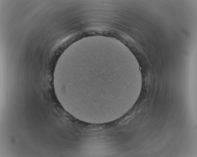 X0000113230822200910221037