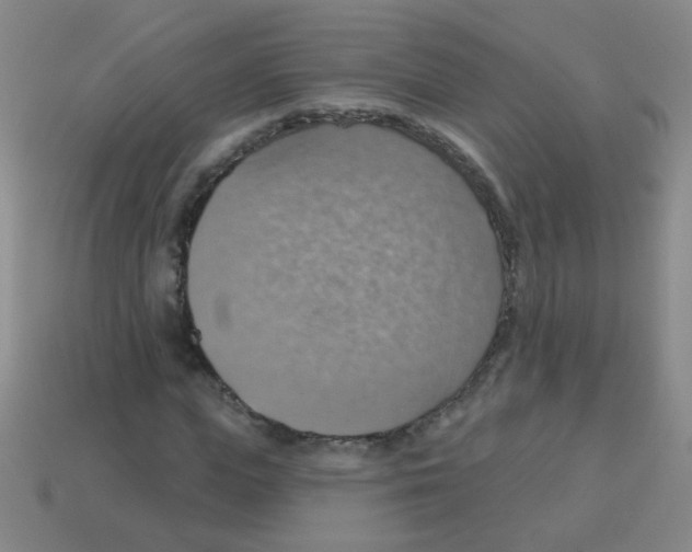 X0000113230823200910221037