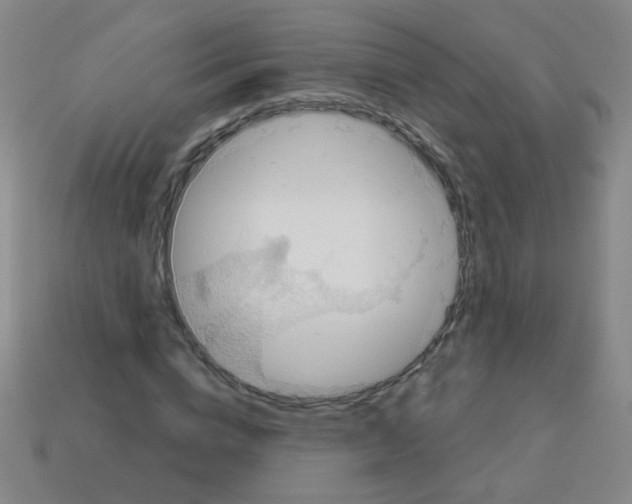 X0000113230824200910221037