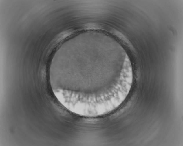 X0000113230825200910221037