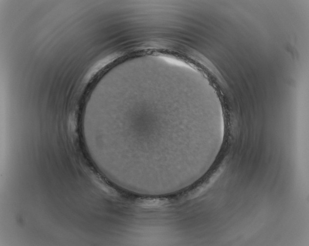 X0000113230826200910221037