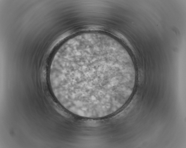 X0000113230827200910221037