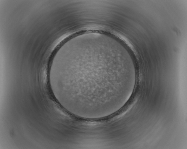 X0000113230829200910221037