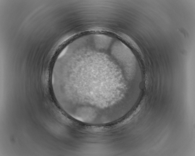 X0000113230831200910221037