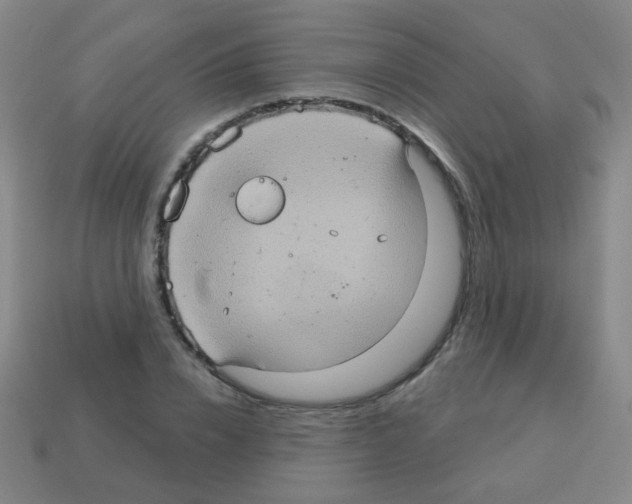 X0000113230832200910221037