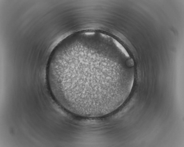 X0000113230834200910221037