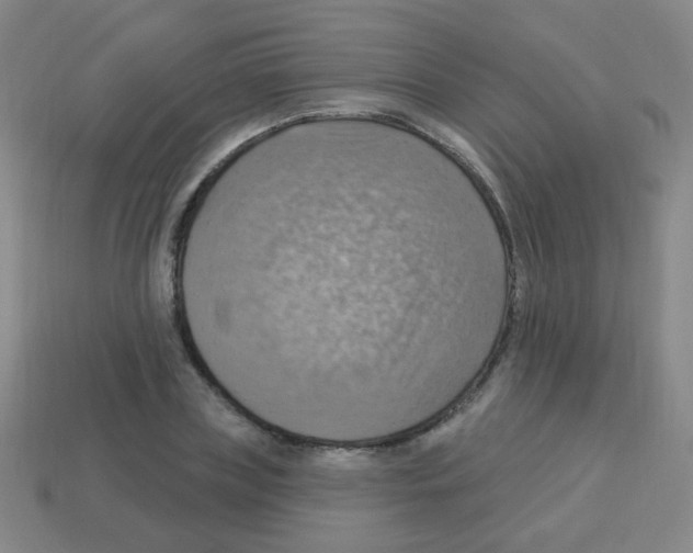 X0000113230835200910221037