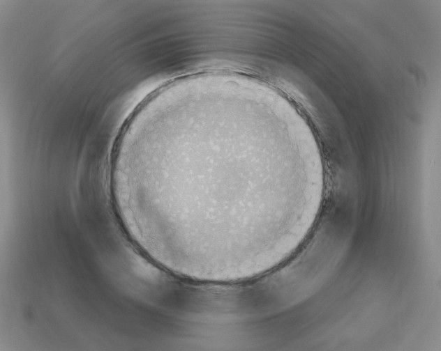 X0000113230836200910221037