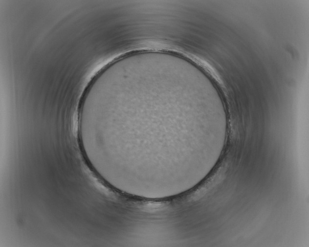 X0000113230839200910221038