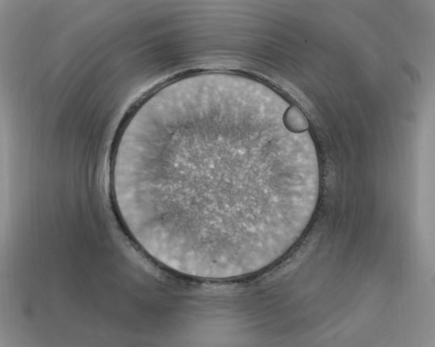 X0000113230840200910221038