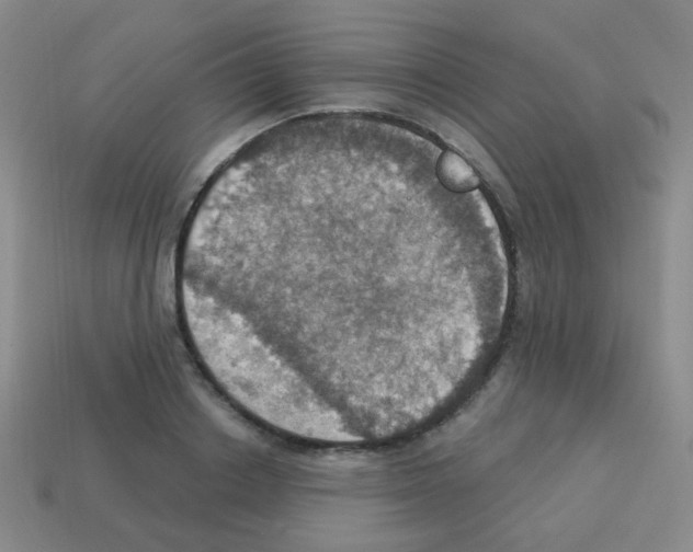 X0000113230842200910221038