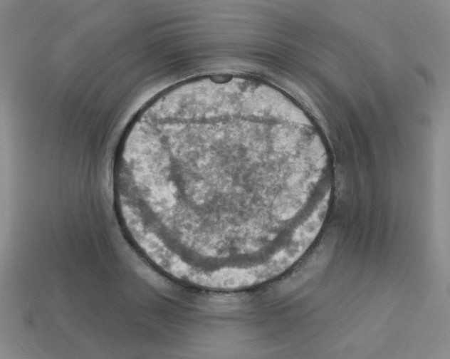 X0000113230843200910221038