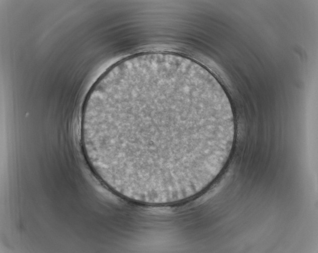 X0000113230844200910221038