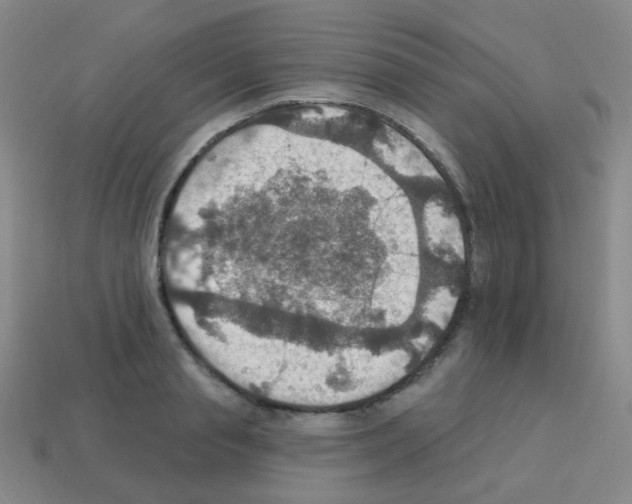 X0000113230845200910221038