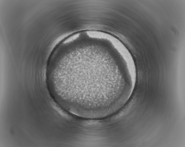 X0000113230846200910221038