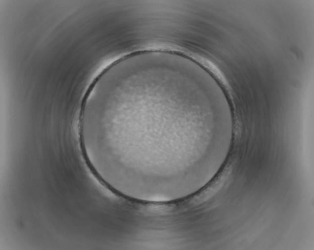 X0000113230847200910221038