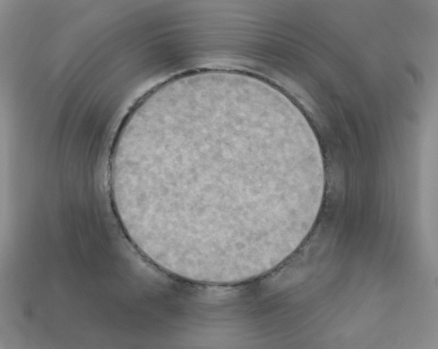 X0000113230848200910221038