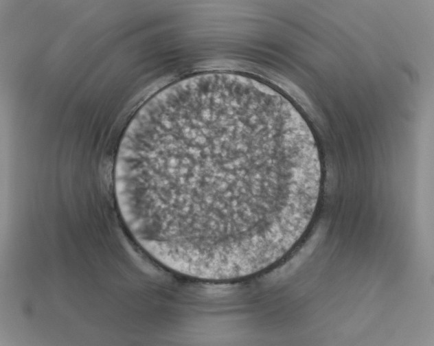 X0000113230849200910221038