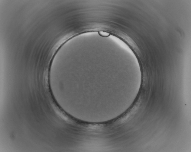 X0000113230850200910221038