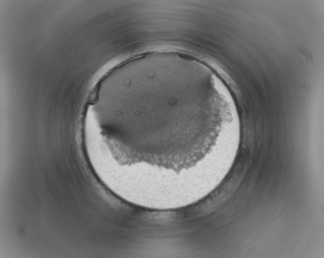 X0000113230853200910221038