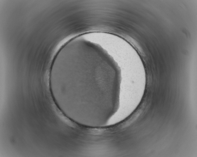 X0000113230854200910221038