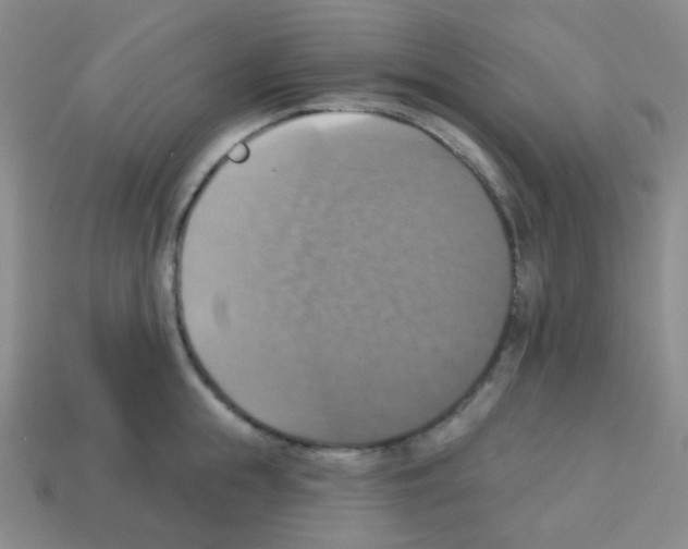 X0000113230855200910221038