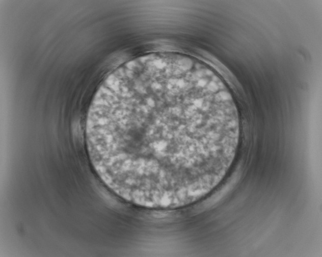 X0000113230857200910221038