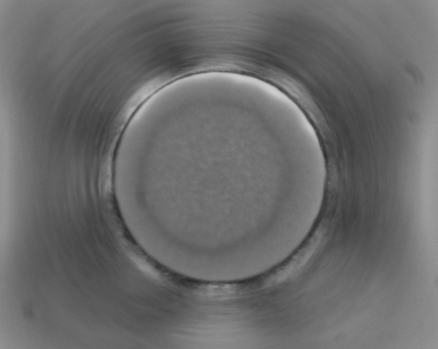 X0000113230858200910221038