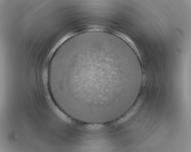 X0000113230859200910221038