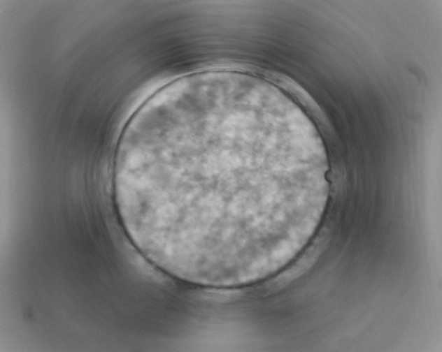 X0000113230860200910221038