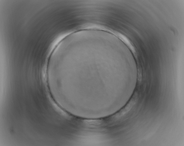 X0000113230863200910221038