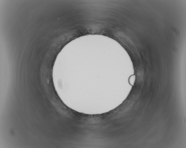 X0000113230865200910221037