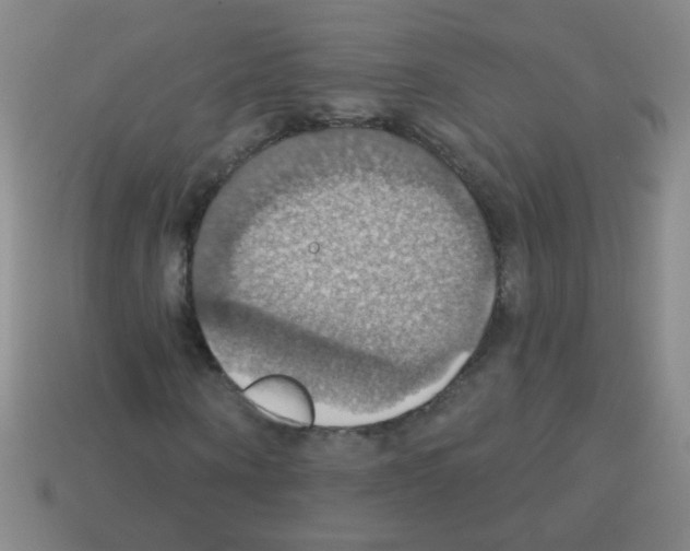 X0000113230866200910221037