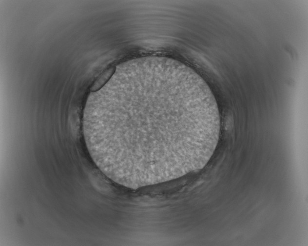 X0000113230868200910221037