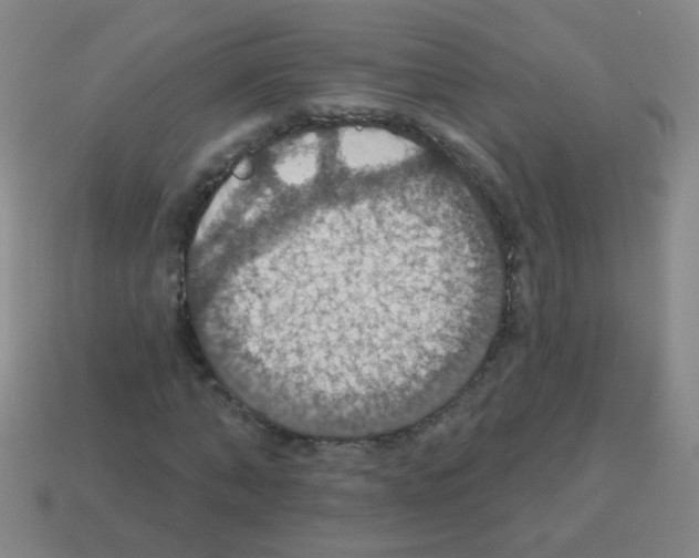 X0000113230870200910221037