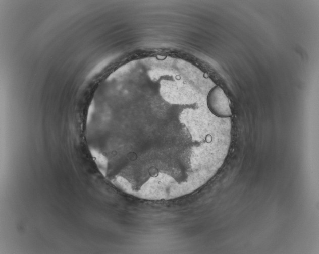 X0000113230871200910221037