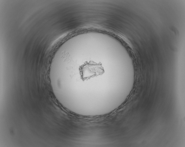 X0000113230872200910221037