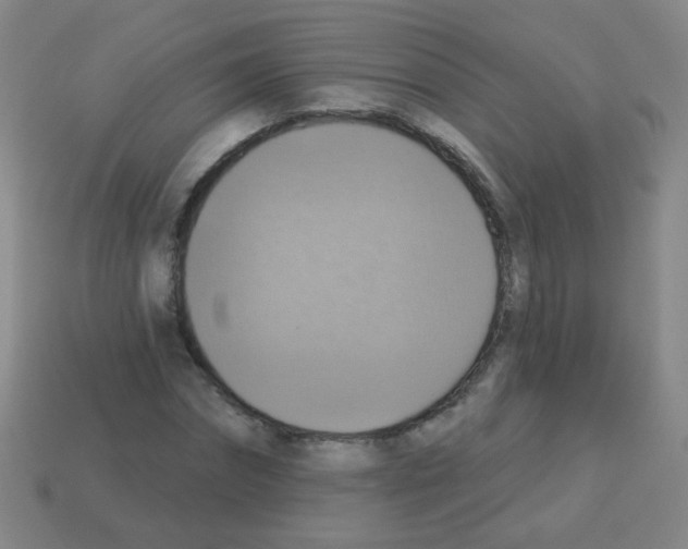 X0000113230874200910221037