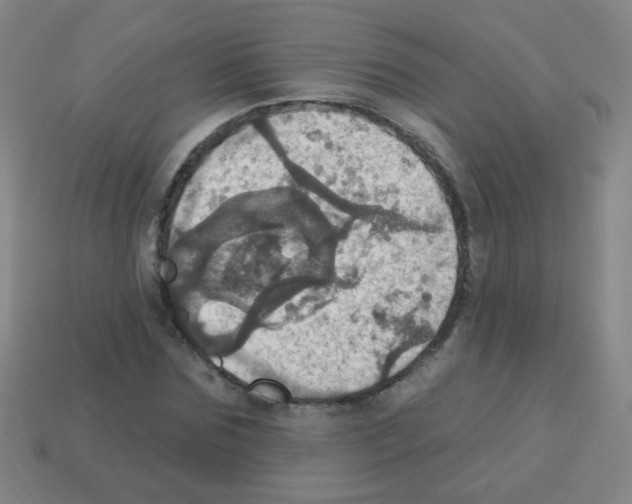 X0000113230875200910221037