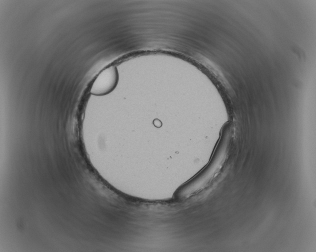 X0000113230876200910221037