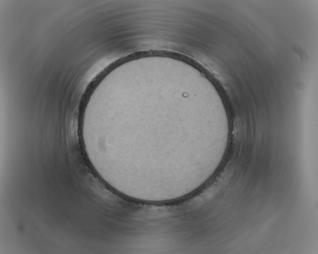 X0000113230877200910221037