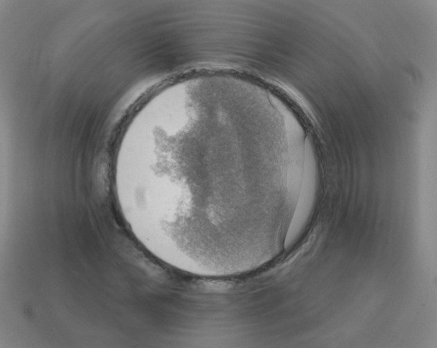 X0000113230878200910221037