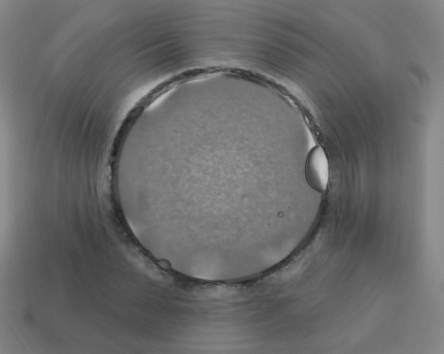 X0000113230879200910221037