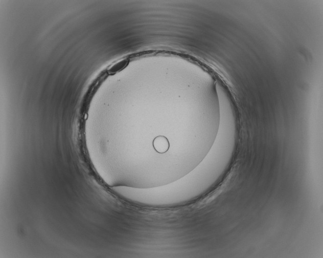 X0000113230880200910221037